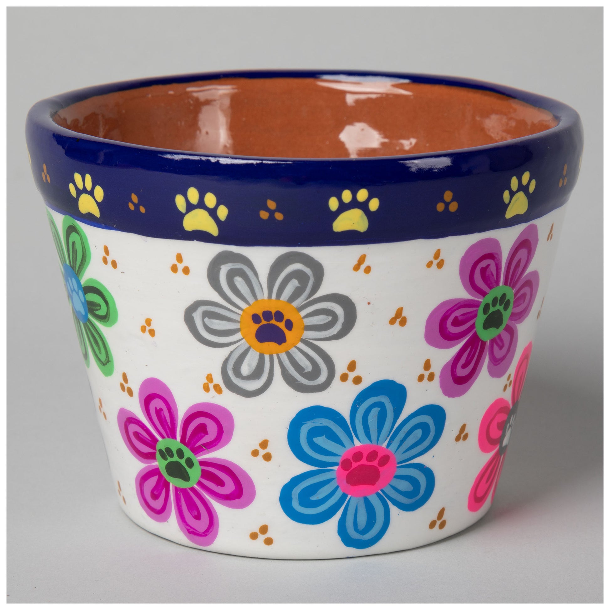 hand painted ceramic plant pots Hand Painted Paws & Flowers Ceramic Small Planter