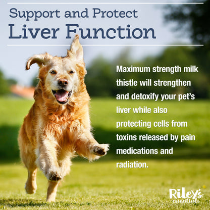 Hepato Essentials Liver Support