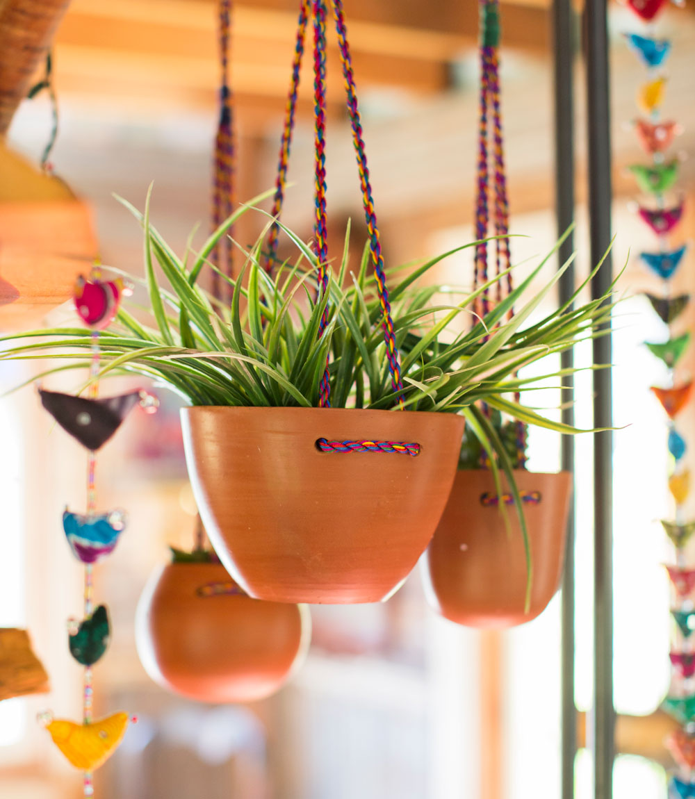 Twist Hanging Planter