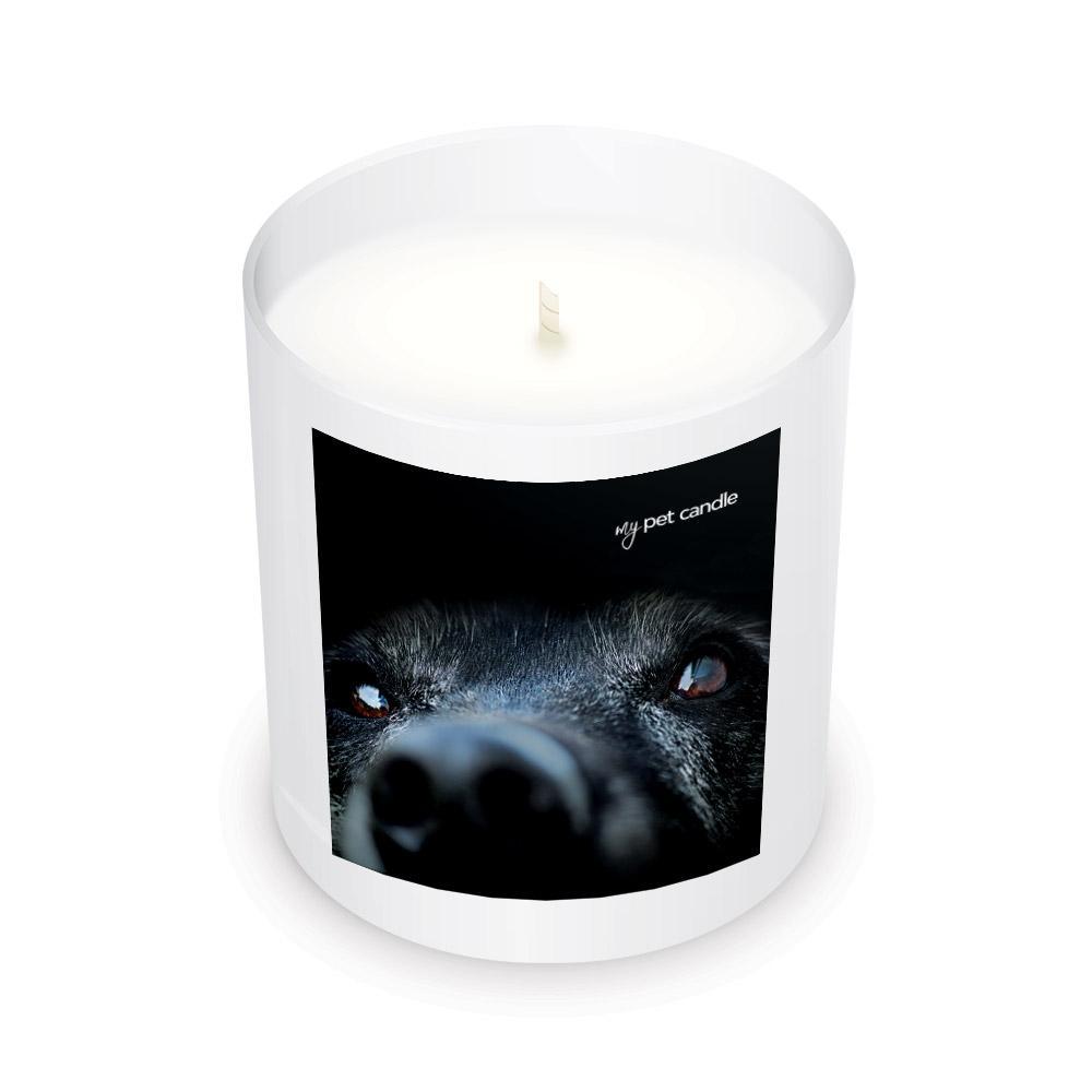 Lab Love Soy Wax Candle | The Animal Rescue Site