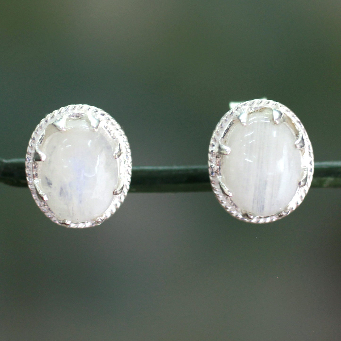 Morning Frost Moonstone & Silver Button Earrings