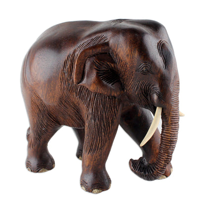 Gentle Thai Elephant Artisan Carved Rain Tree Wood Sculpture