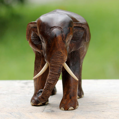 Gentle Thai Elephant Artisan Carved Rain Tree Wood Sculpture