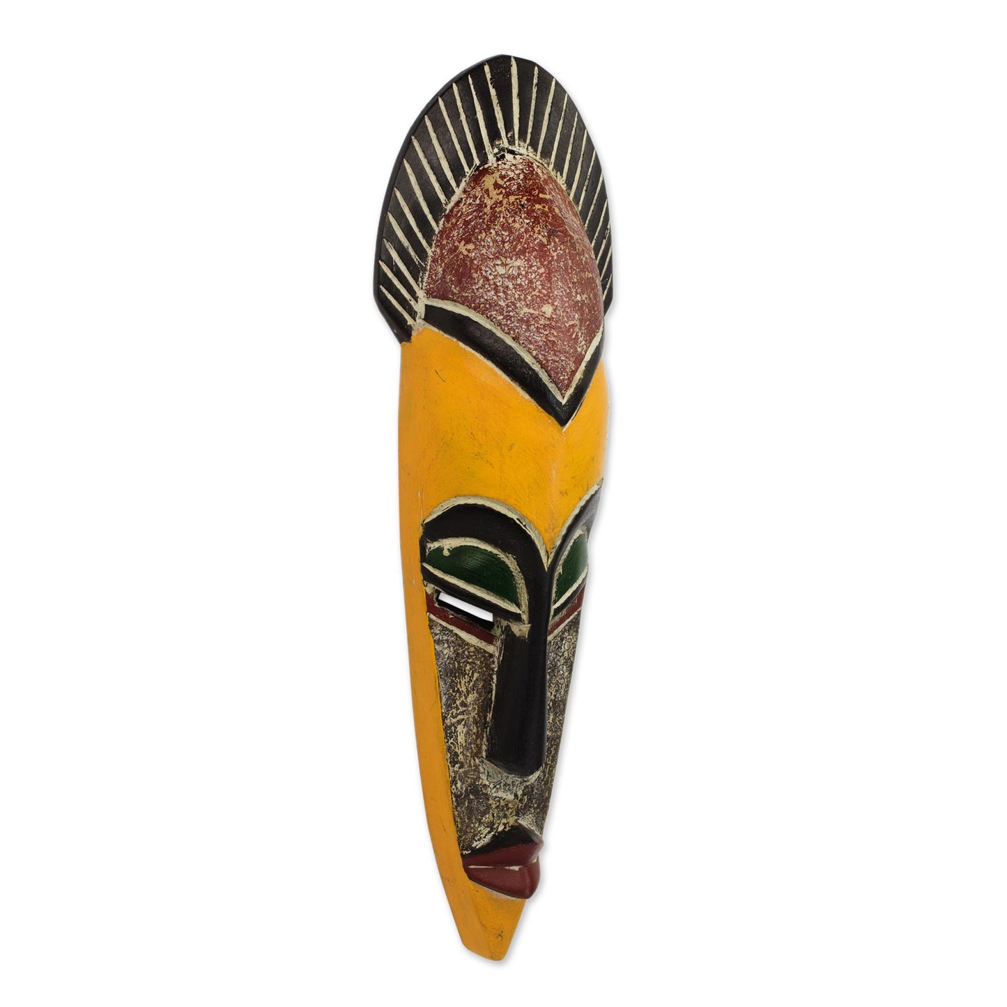 Protect the Jungle African Wood Wall Mask