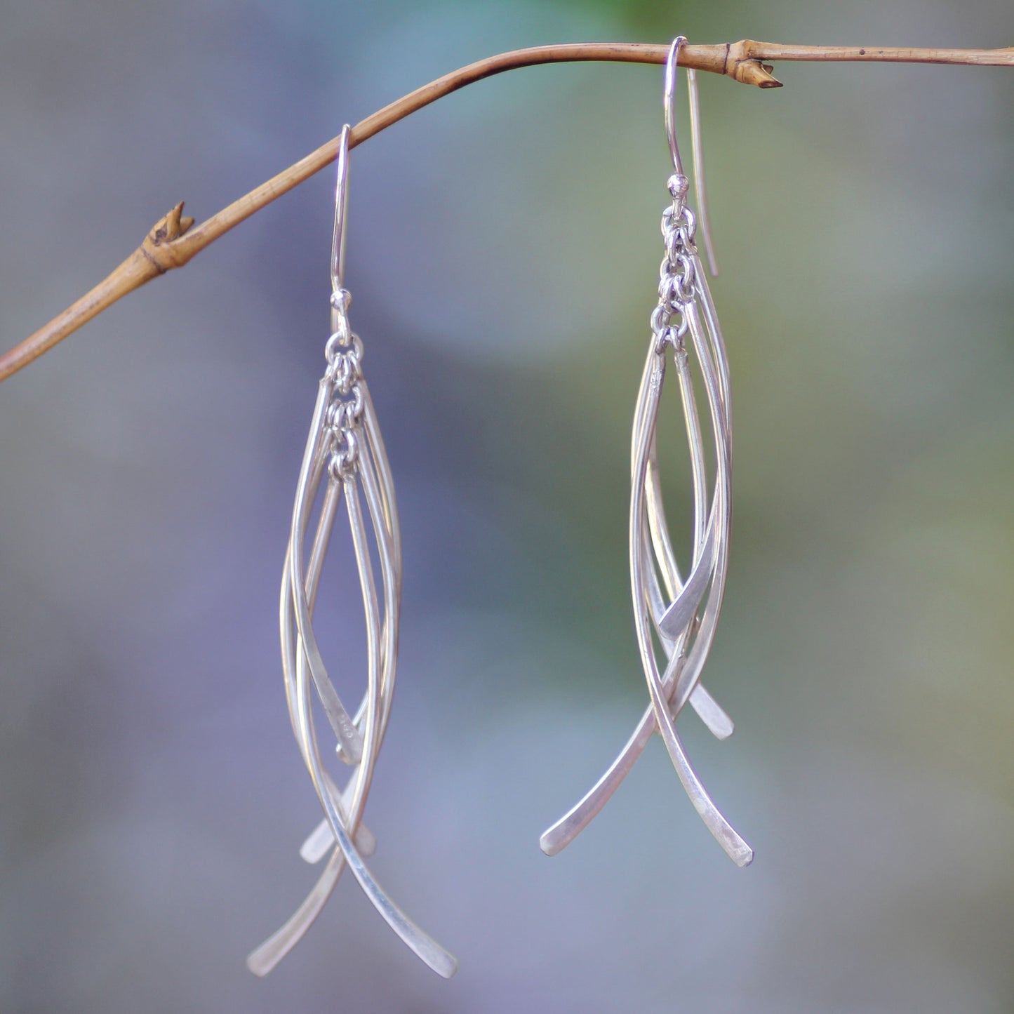 Winter Twigs Silver Dangle Earrings