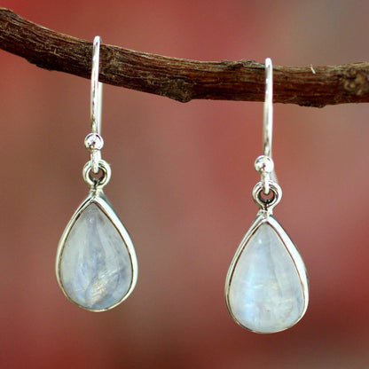 NOVICA - Moonstone Sterling Silver Teardrop Earrings