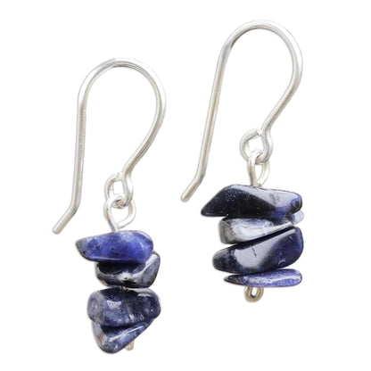 Nature's Harmony Sodalite Beaded Earrings