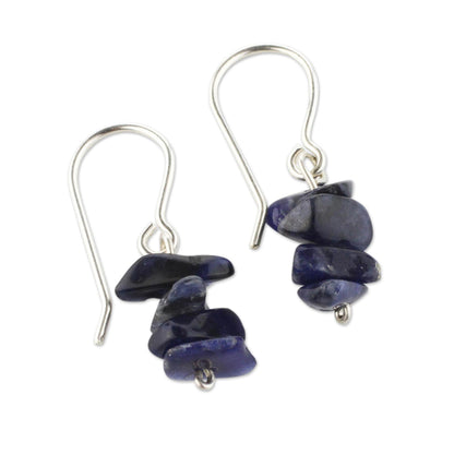 Nature's Harmony Sodalite Beaded Earrings