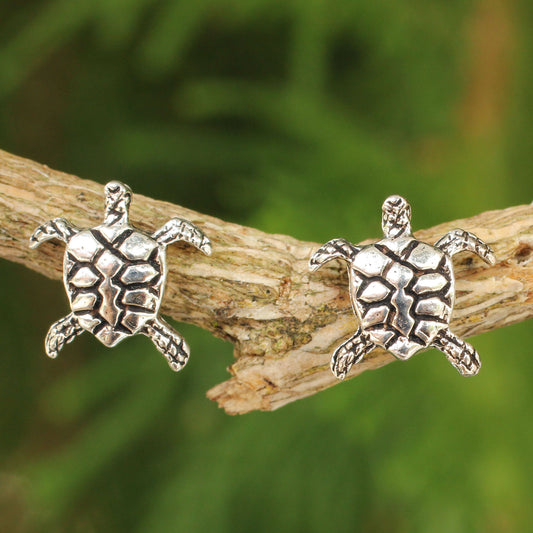 Baby Sea Turtle Stud Earrings