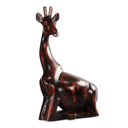 Kneeling Giraffe African Hand Carved Wood Kneeling Giraffe Sculpture