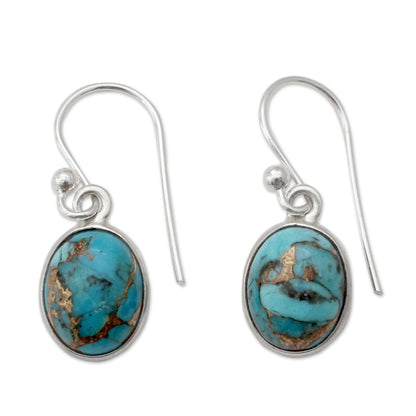 Sky Harmony Turquoise Silver Dangle Earrings