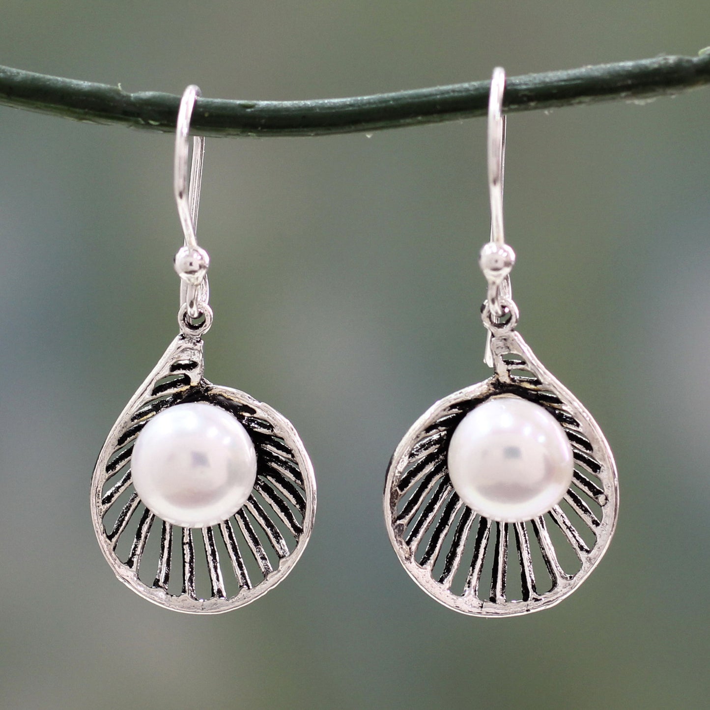 Oyster Treasure Artisan Crafted Pearl and Sterling Silver Earrings