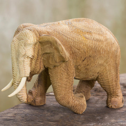 Blissful Elephant Handmade Rain Tree and Ivory Wood Elephant Statuette