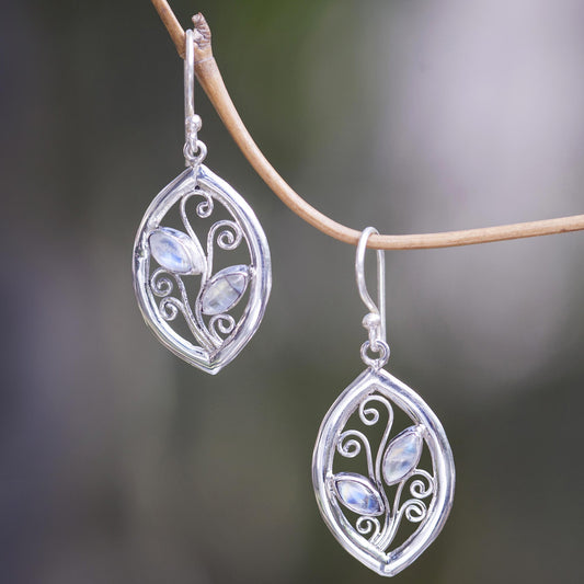 Paradise Leaves 925 Sterling Silver Leaf Earrings with Rainbow Moonstone