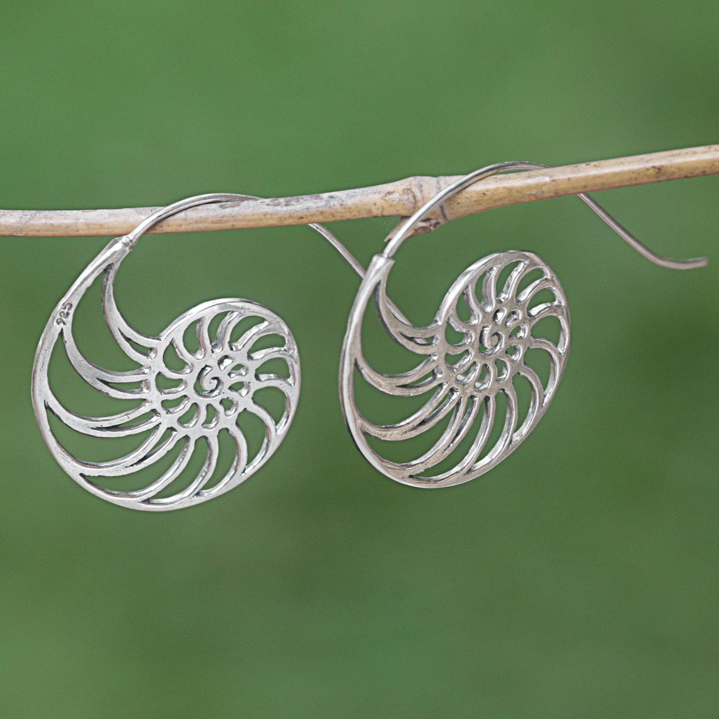 Spiral Nautilus Shell Drop Earrings