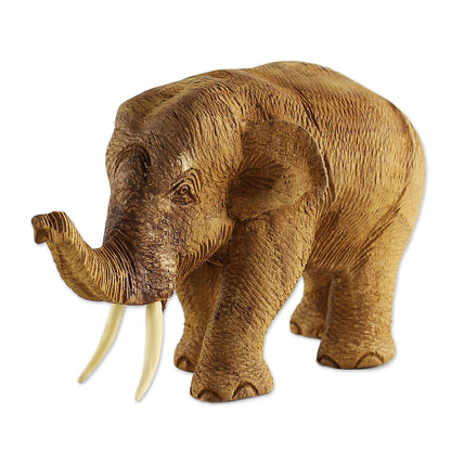 Elephant Gait Hand Carved Thai Rustic Teak Wood Sculpture of an Elephant