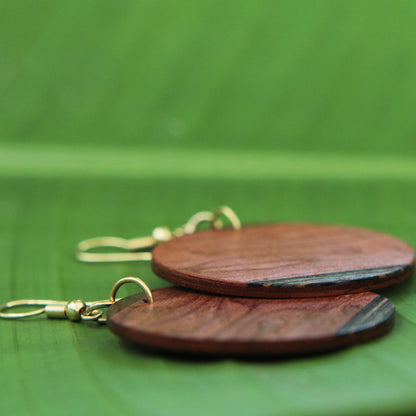 Circle of Nature Mahogany and Imbuia Wood Round Dangle Earrings from Brazil