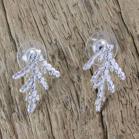Natural Needles Silver Plated Natural Cypress Leaf Earrings from Thailand