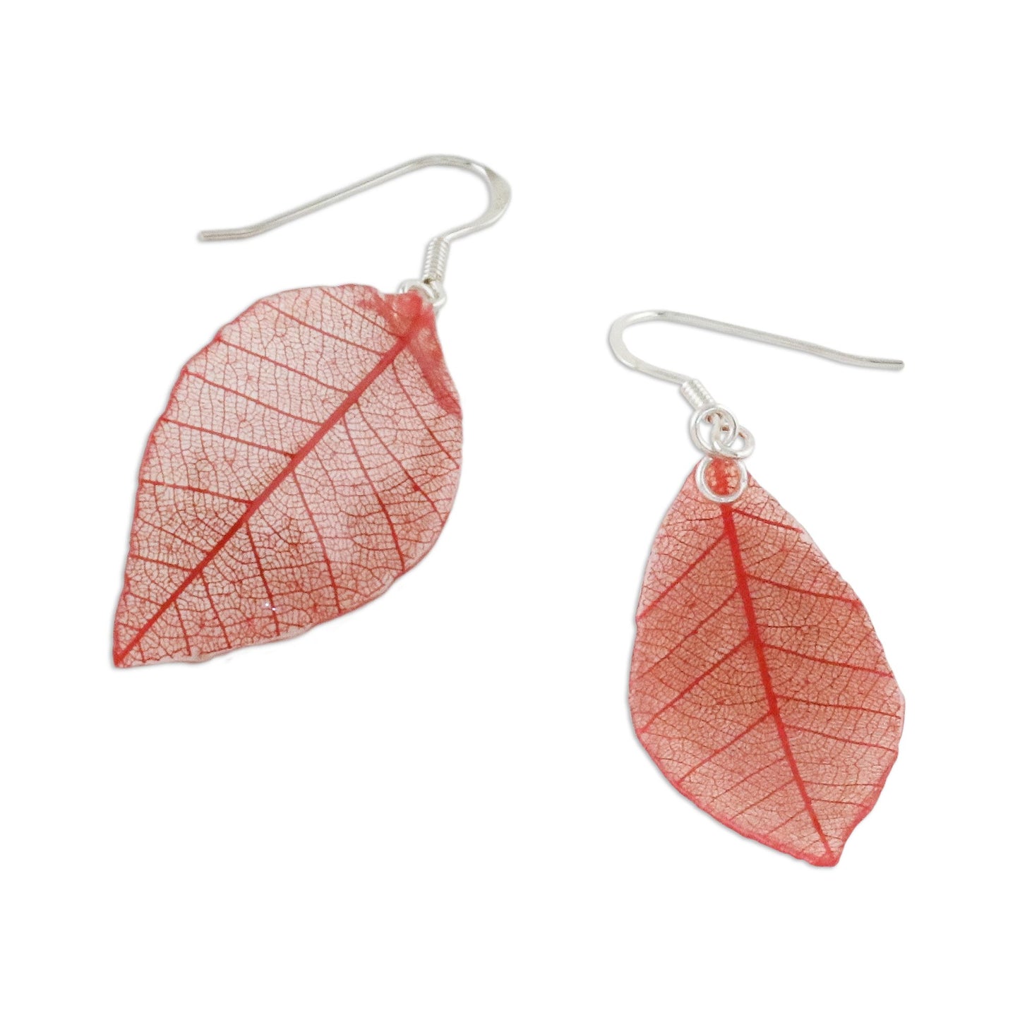 Stunning Nature in Crimson Natural Leaf Dangle Earrings in Crimson from Thailand