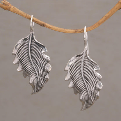 Germander Leaf Combination Finish Silver Leaf Drop Earrings