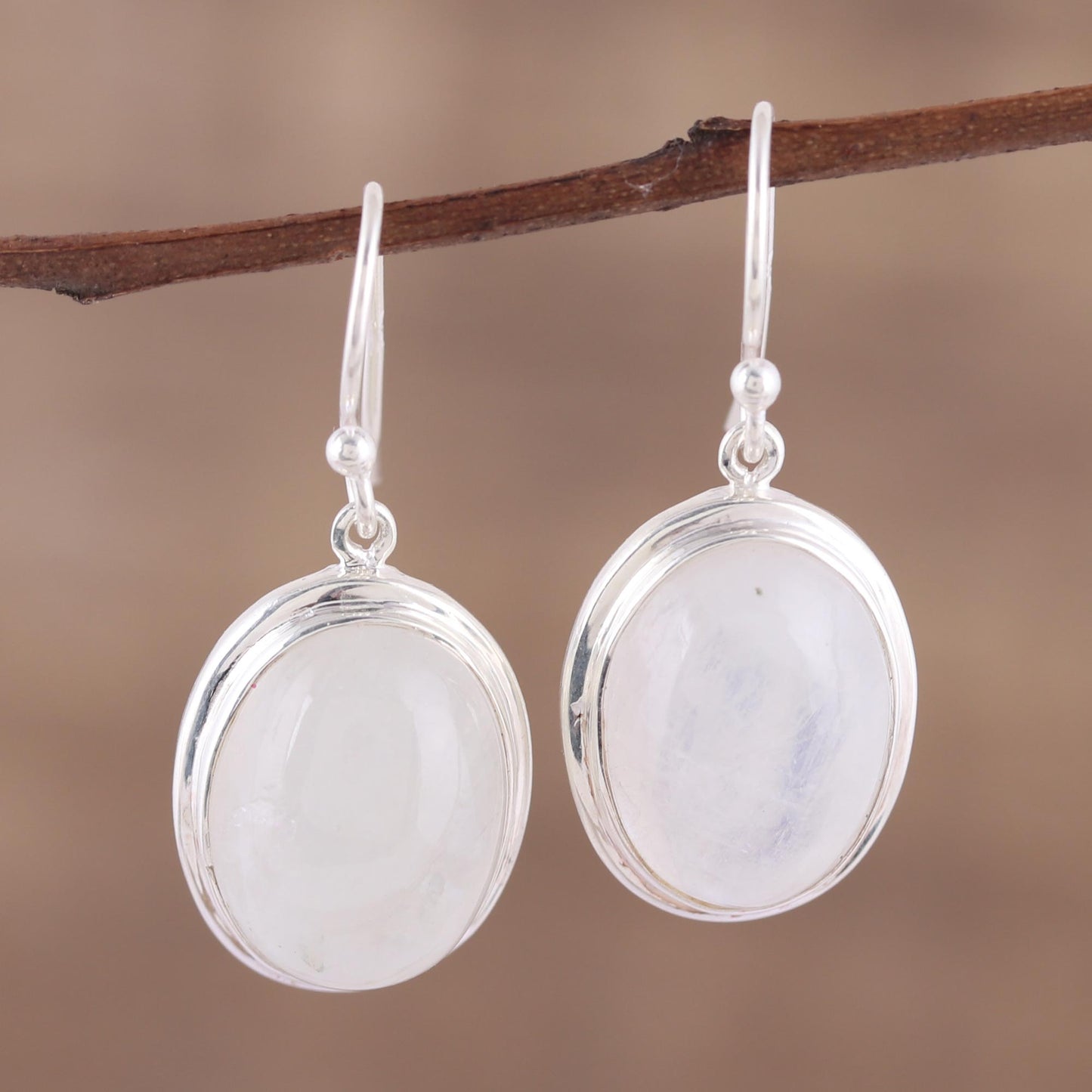 Elusive Shimmer Classic Rainbow Moonstone and Sterling Dangle Earrings