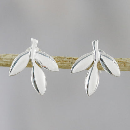 Olive Leaves Leaf-Shaped Sterling Silver Button Earrings from Thailand