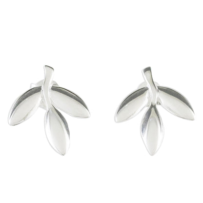 Olive Leaves Leaf-Shaped Sterling Silver Button Earrings from Thailand