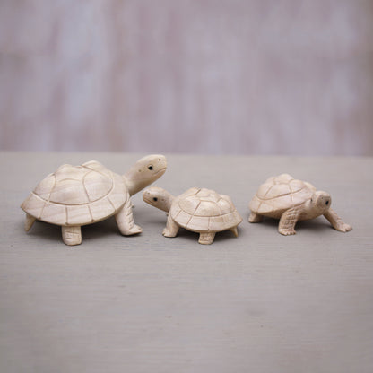 Terrapin Trio Three Hand Carved Terrapin Turtle Wood Statuettes from Bali