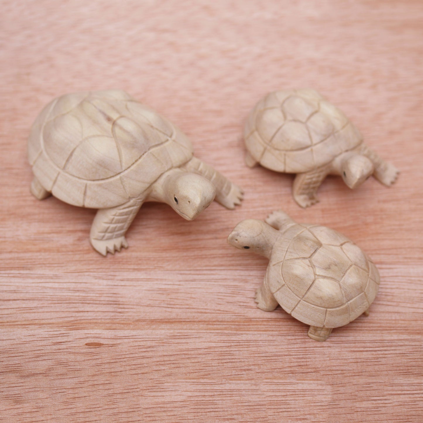 Terrapin Trio Three Hand Carved Terrapin Turtle Wood Statuettes from Bali