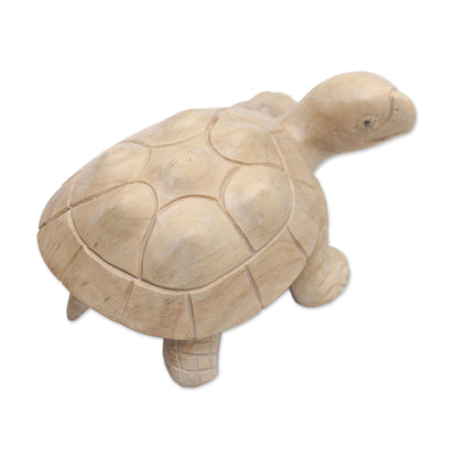 Papa Terrapin Wood Terrapin Turtle Statuette Hand Carved in Bali