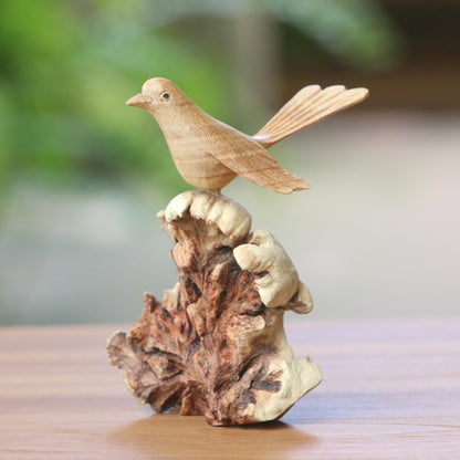 Canary Flight Hand-Carved Canary Flight Jempinis Wood Bird Sculpture