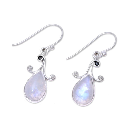 Lustrous Drops Teardrop Rainbow Moonstone Dangle Earrings from India