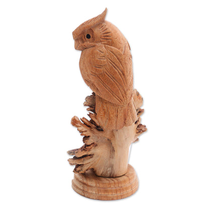 Perched Owl Jempinis Wood Owl Sculpture from Bali