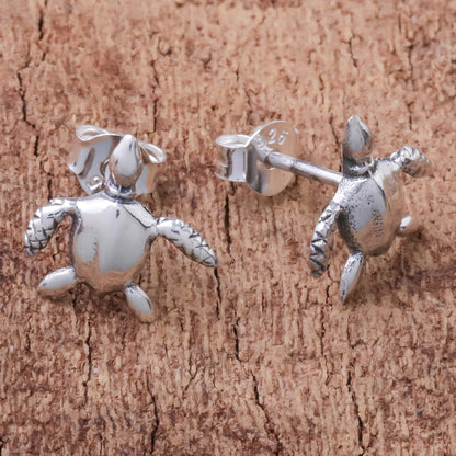 Sea Turtle Bliss Sterling Silver Sea Turtle Stud Earrings from Thailand