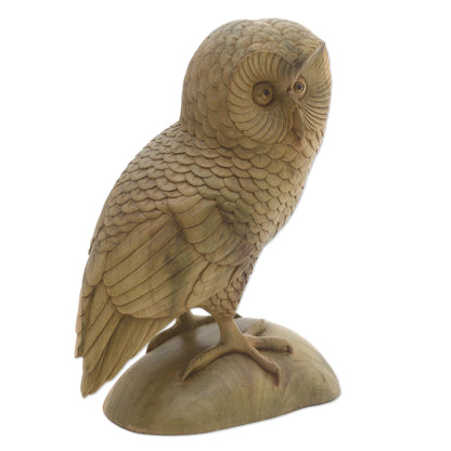 Intelligent Owl Hand-Carved Hibiscus Wood Owl Sculpture from Bali