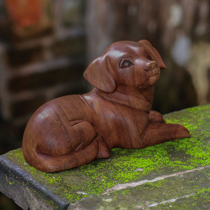 Best Boy Hand-Carved Wood Dog Sculpture from Bali