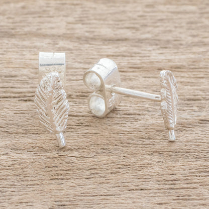 Amazing Leaves Feather-Shaped Sterling Silver Stud Earrings from Guatemala