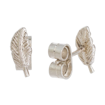 Amazing Leaves Feather-Shaped Sterling Silver Stud Earrings from Guatemala