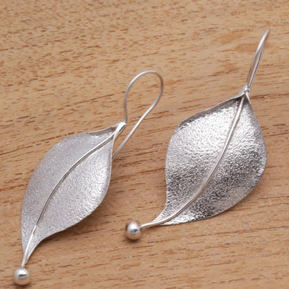 Curved Leaves Modern Leaf-Shaped Sterling Silver Drop Earrings from Bali