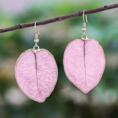 Bougainvillea Love in Pink Gold Accented Natural Flower Dangle Earrings in Pink