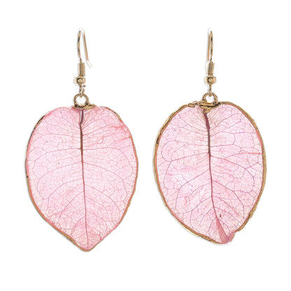 Bougainvillea Love in Pink Gold Accented Natural Flower Dangle Earrings in Pink