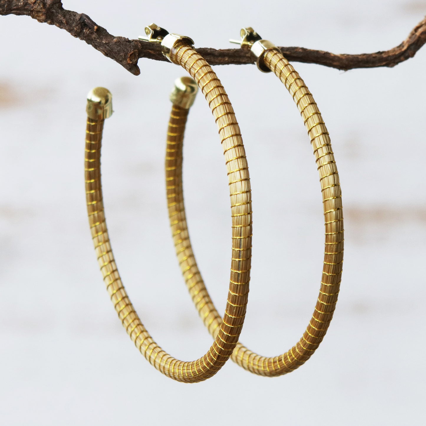 Natural Dynamic (2.5 Inch) Brazilian Golden Grass Gold Half hoop Earrings