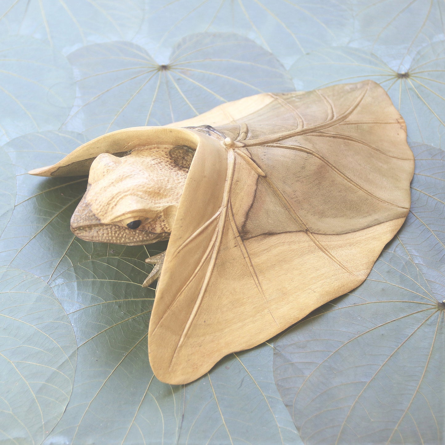 Shy Frog Hibiscus Wood Sculpture of Frog Under Leaf