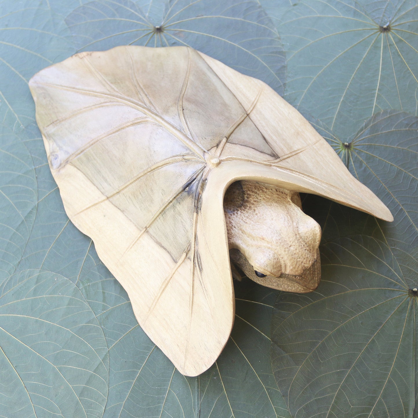 Shy Frog Hibiscus Wood Sculpture of Frog Under Leaf