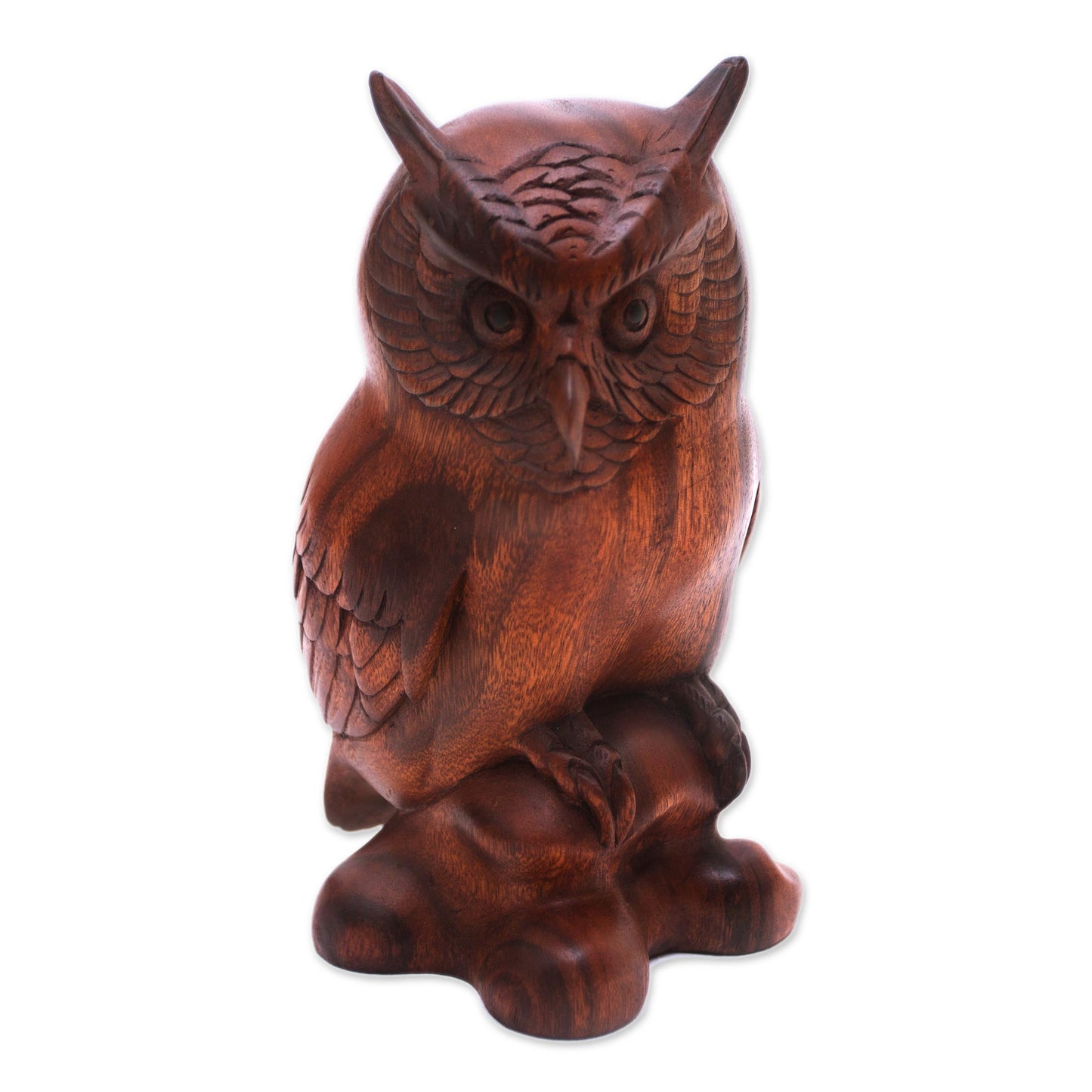 Crested Owl Suar Wood Sculpture