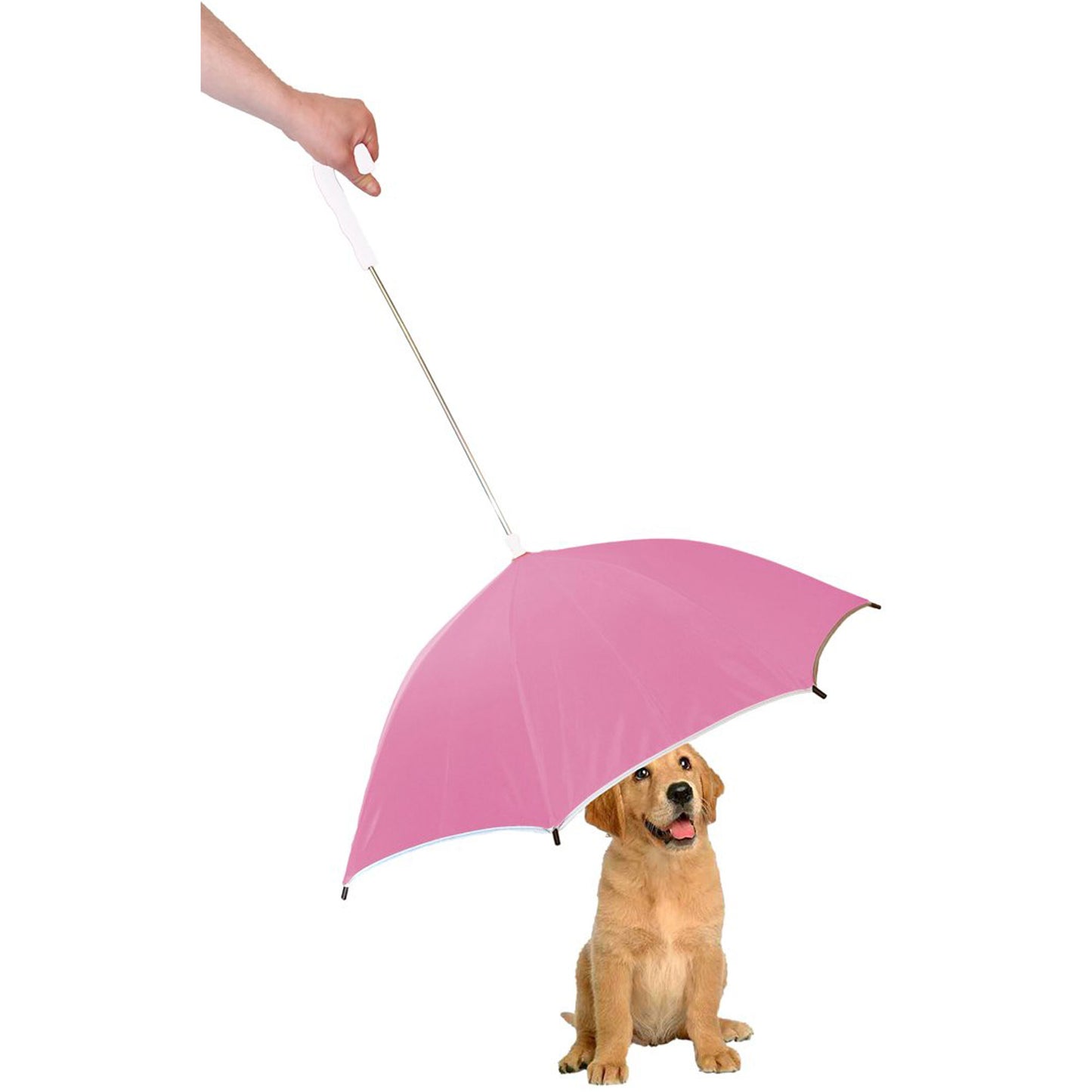 Pet Life&reg; Pour-Protection Umbrella & Leash Holder