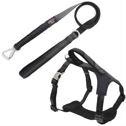 Pet Life&reg; Geo-prene Leash & Harness