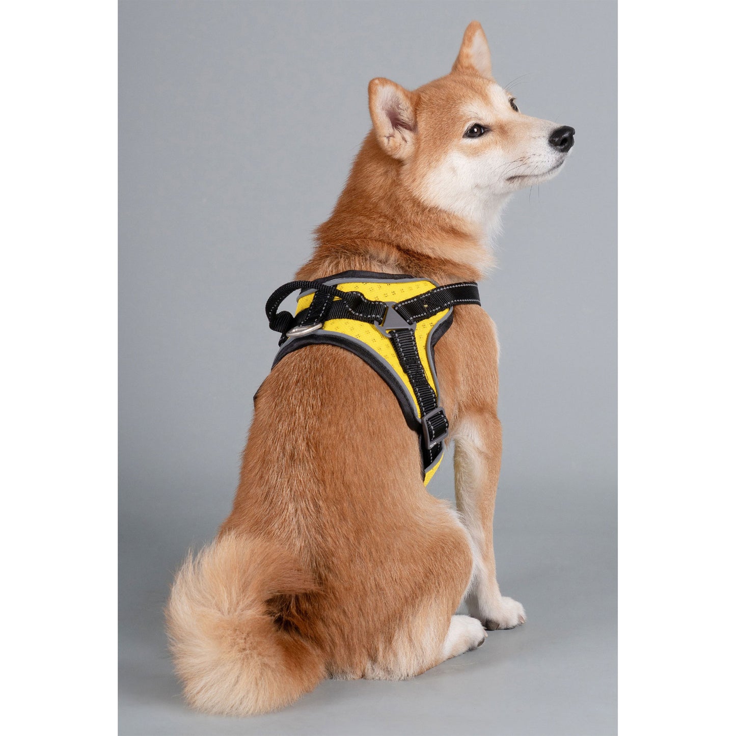 Dog Helios&reg; Scorpion Sporty Dog Harness