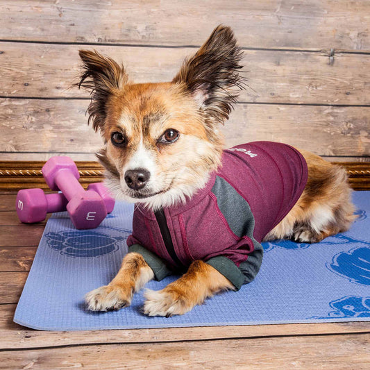 Dog Helios&reg; Eboneflow Dog Yoga T-Shirt