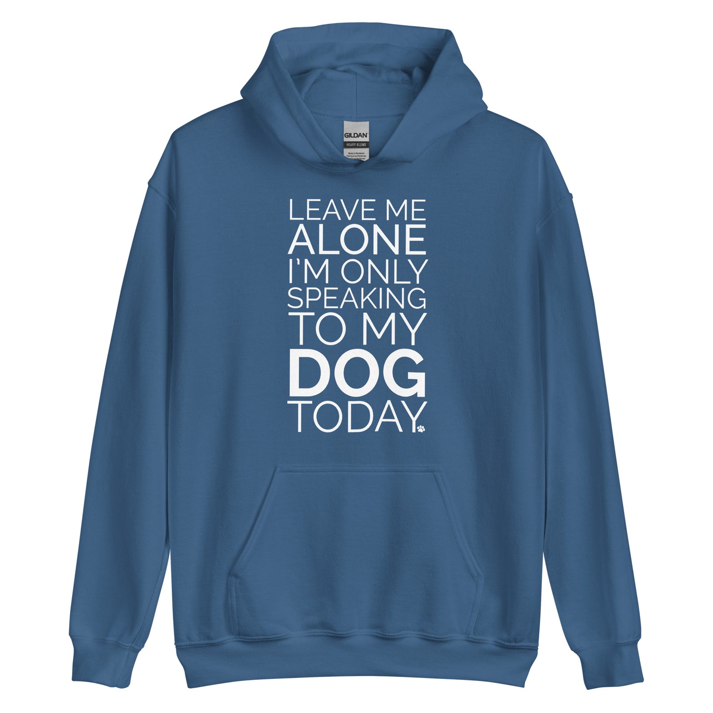 Leave Me Alone Dog Hoodie